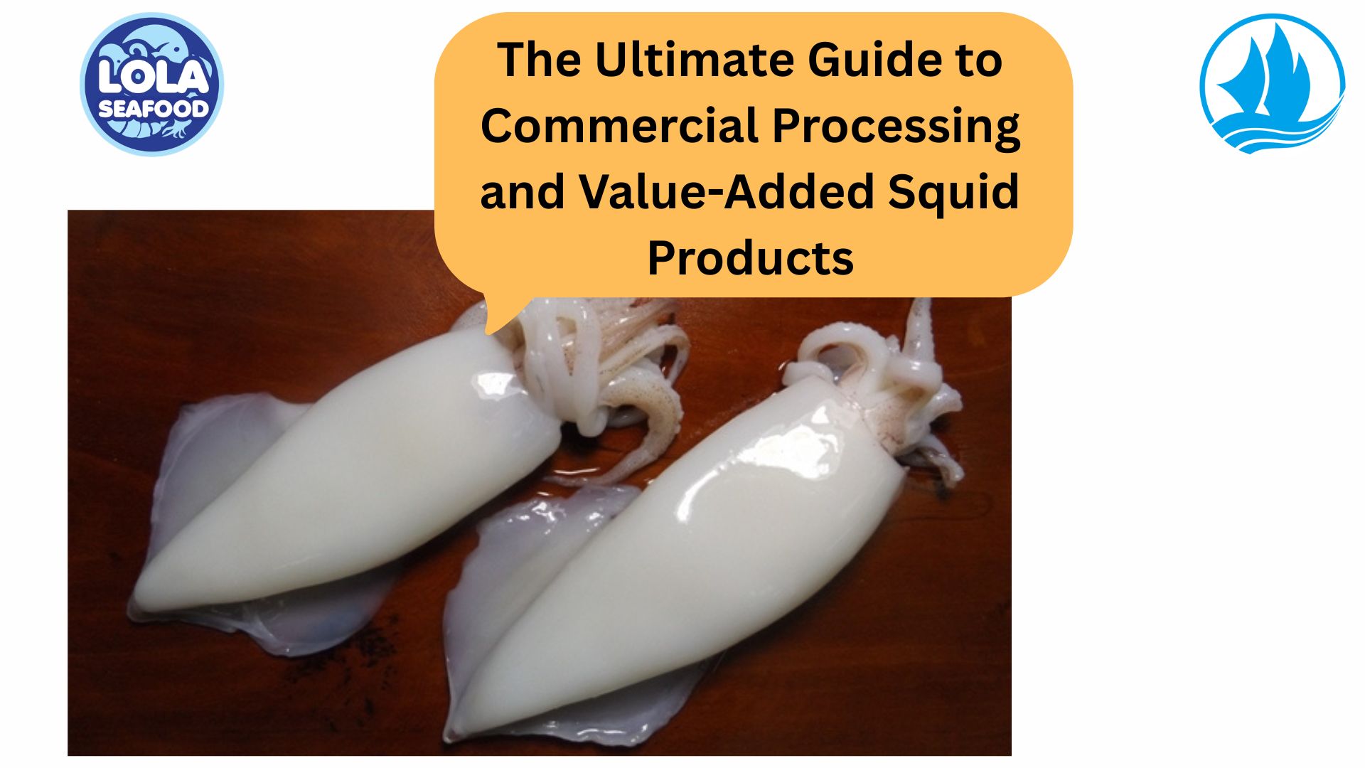  The Ultimate Guide to Commercial Processing and Value Added Squid Products